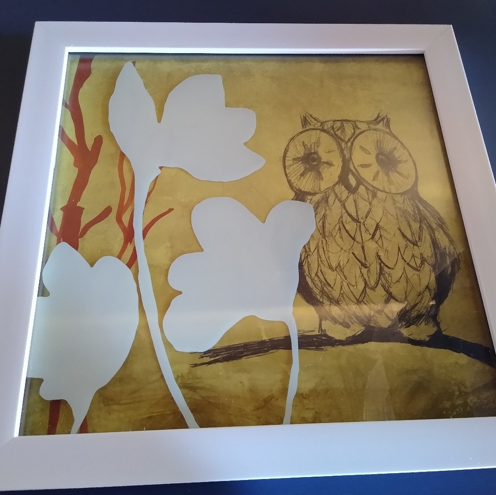Owl Decorative Frame
